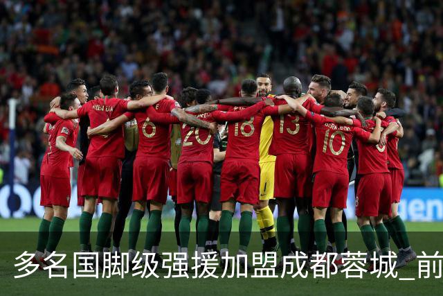 多名国脚级强援加盟成都蓉城 前场还有进人空间